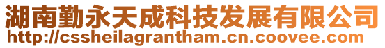 湖南勤永天成科技發展有限公司