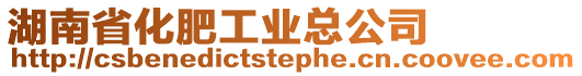 湖南省化肥工業總公司