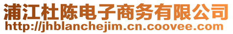 浦江杜陳電子商務有限公司