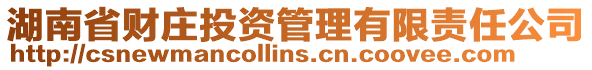 湖南省財莊投資管理有限責任公司