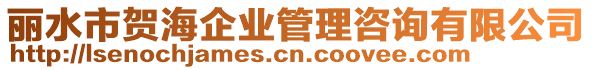 麗水市賀海企業(yè)管理咨詢有限公司