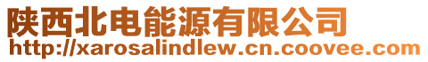 陜西北電能源有限公司