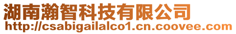 湖南瀚智科技有限公司