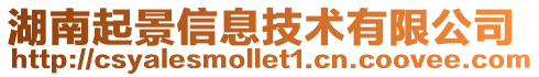 湖南起景信息技術有限公司