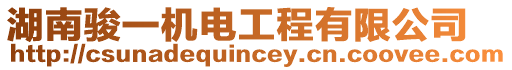 湖南駿一機電工程有限公司