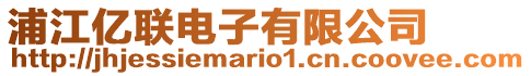 浦江億聯電子有限公司