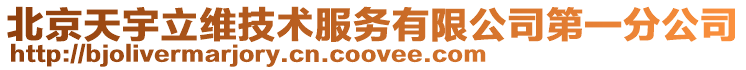 北京天宇立維技術服務有限公司第一分公司