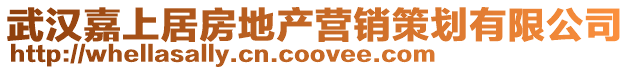 武漢嘉上居房地產營銷策劃有限公司