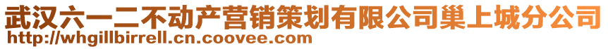 武漢六一二不動產營銷策劃有限公司巢上城分公司