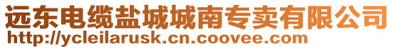遠東電纜鹽城城南專賣有限公司