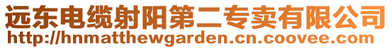 遠(yuǎn)東電纜射陽(yáng)第二專賣有限公司