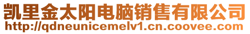 凱里金太陽電腦銷售有限公司