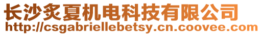 長沙炙夏機電科技有限公司