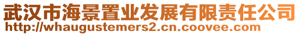 武漢市海景置業發展有限責任公司