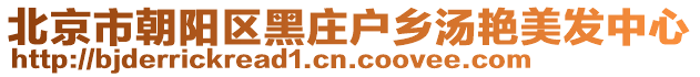 北京市朝陽區黑莊戶鄉湯艷美發中心