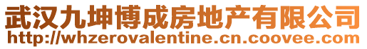 武漢九坤博成房地產(chǎn)有限公司