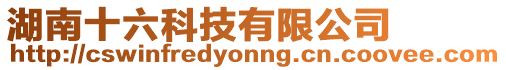 湖南十六科技有限公司