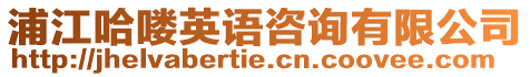 浦江哈嘍英語咨詢有限公司