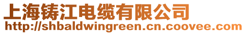 上海鑄江電纜有限公司