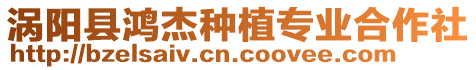渦陽縣鴻杰種植專業合作社