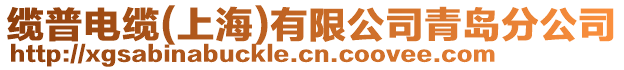 纜普電纜(上海)有限公司青島分公司
