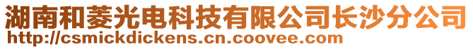 湖南和菱光電科技有限公司長沙分公司