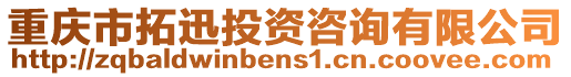 重慶市拓迅投資咨詢有限公司
