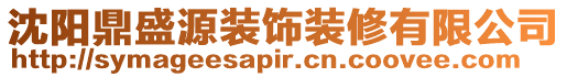 沈陽鼎盛源裝飾裝修有限公司