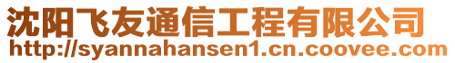 沈陽(yáng)飛友通信工程有限公司