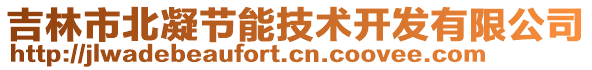 吉林市北凝節(jié)能技術(shù)開發(fā)有限公司