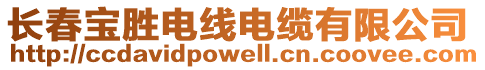 長春寶勝電線電纜有限公司