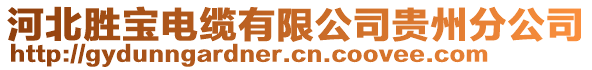 河北勝寶電纜有限公司貴州分公司