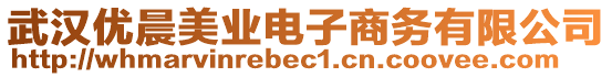 武漢優(yōu)晨美業(yè)電子商務(wù)有限公司