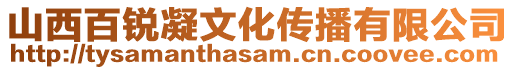 山西百銳凝文化傳播有限公司