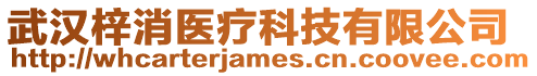 武漢梓消醫(yī)療科技有限公司