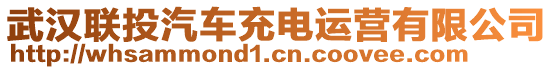 武漢聯投汽車充電運營有限公司