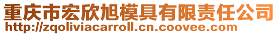 重慶市宏欣旭模具有限責任公司