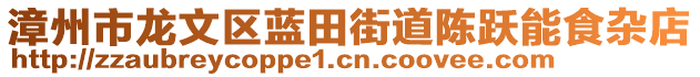 漳州市龍文區(qū)藍(lán)田街道陳躍能食雜店