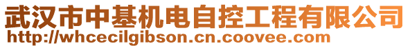 武漢市中基機電自控工程有限公司