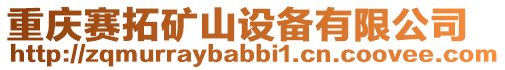 重慶賽拓礦山設(shè)備有限公司
