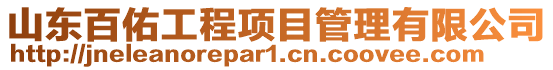 山東百佑工程項目管理有限公司