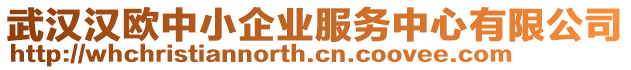武漢漢歐中小企業服務中心有限公司