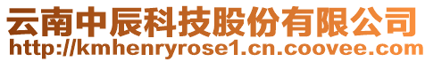 云南中辰科技股份有限公司