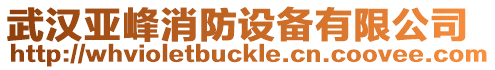武漢亞峰消防設(shè)備有限公司