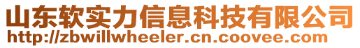 山東軟實(shí)力信息科技有限公司