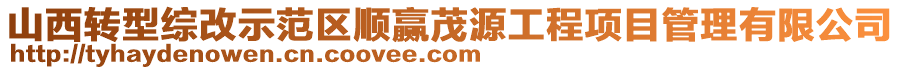 山西轉(zhuǎn)型綜改示范區(qū)順贏茂源工程項目管理有限公司