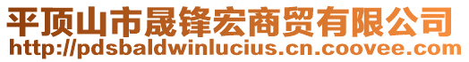 平頂山市晟鋒宏商貿有限公司