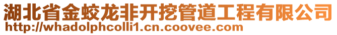 湖北省金蛟龍非開挖管道工程有限公司