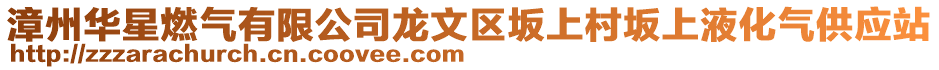 漳州華星燃氣有限公司龍文區坂上村坂上液化氣供應站