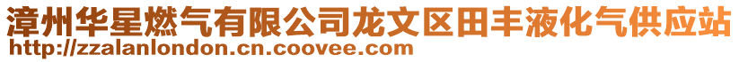 漳州華星燃?xì)庥邢薰君埼膮^(qū)田豐液化氣供應(yīng)站